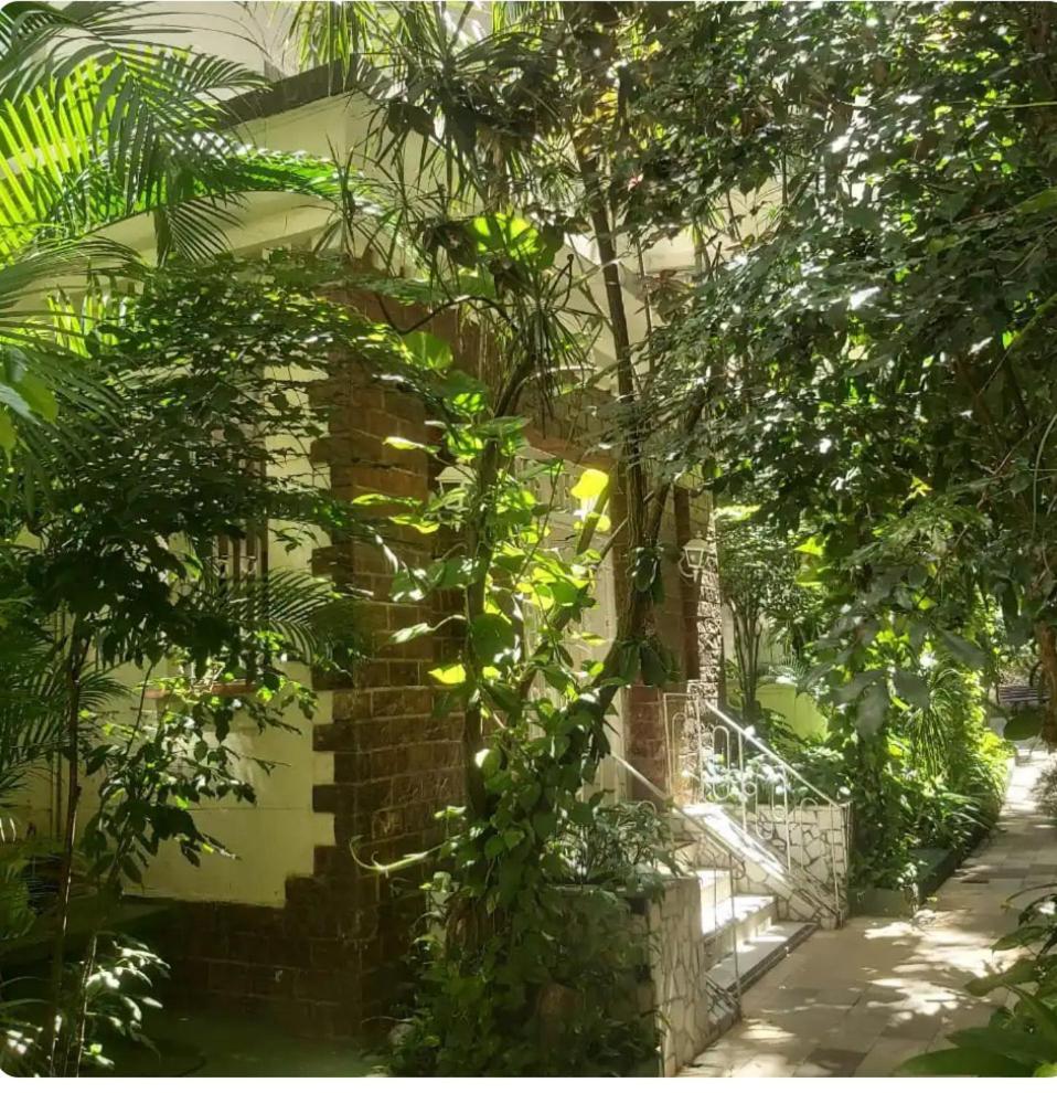 Bulhoes De Carvalho 591-601 Rio de Janeiro Eksteriør bilde